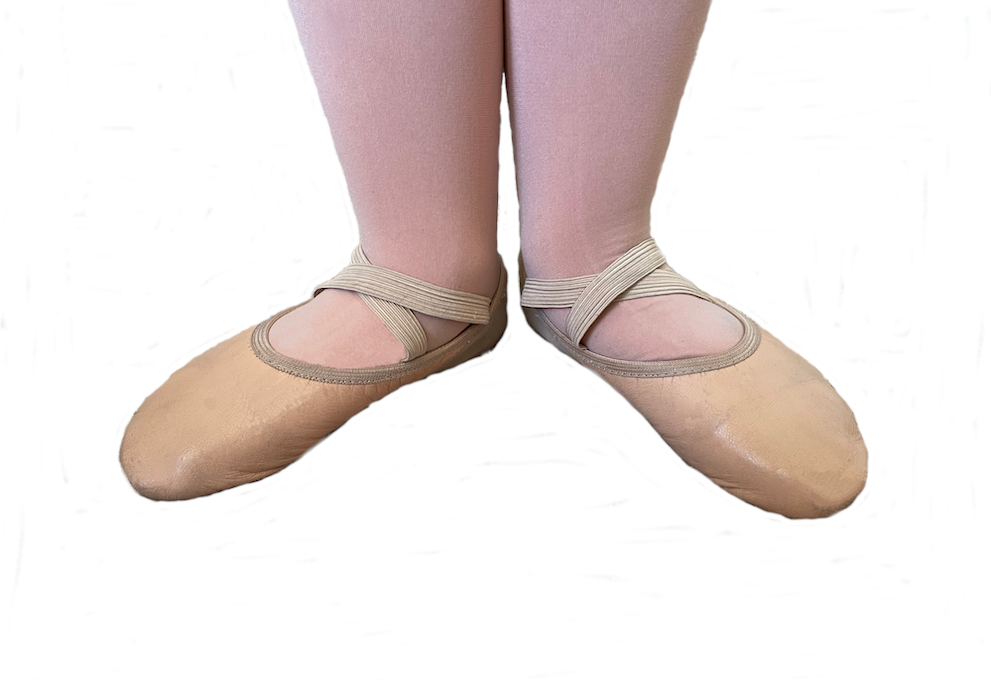 Beginner Ballet Shoes